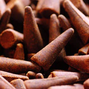 Ganesha's Garden Cinnamon Cone Incense