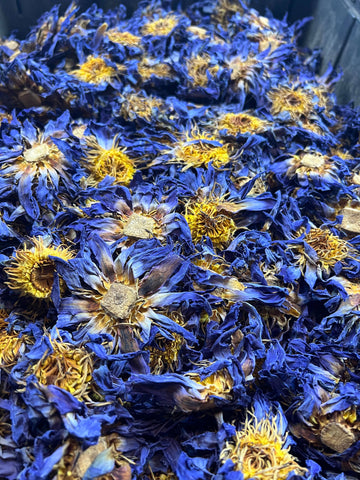 Blue Lotus Whole Flower