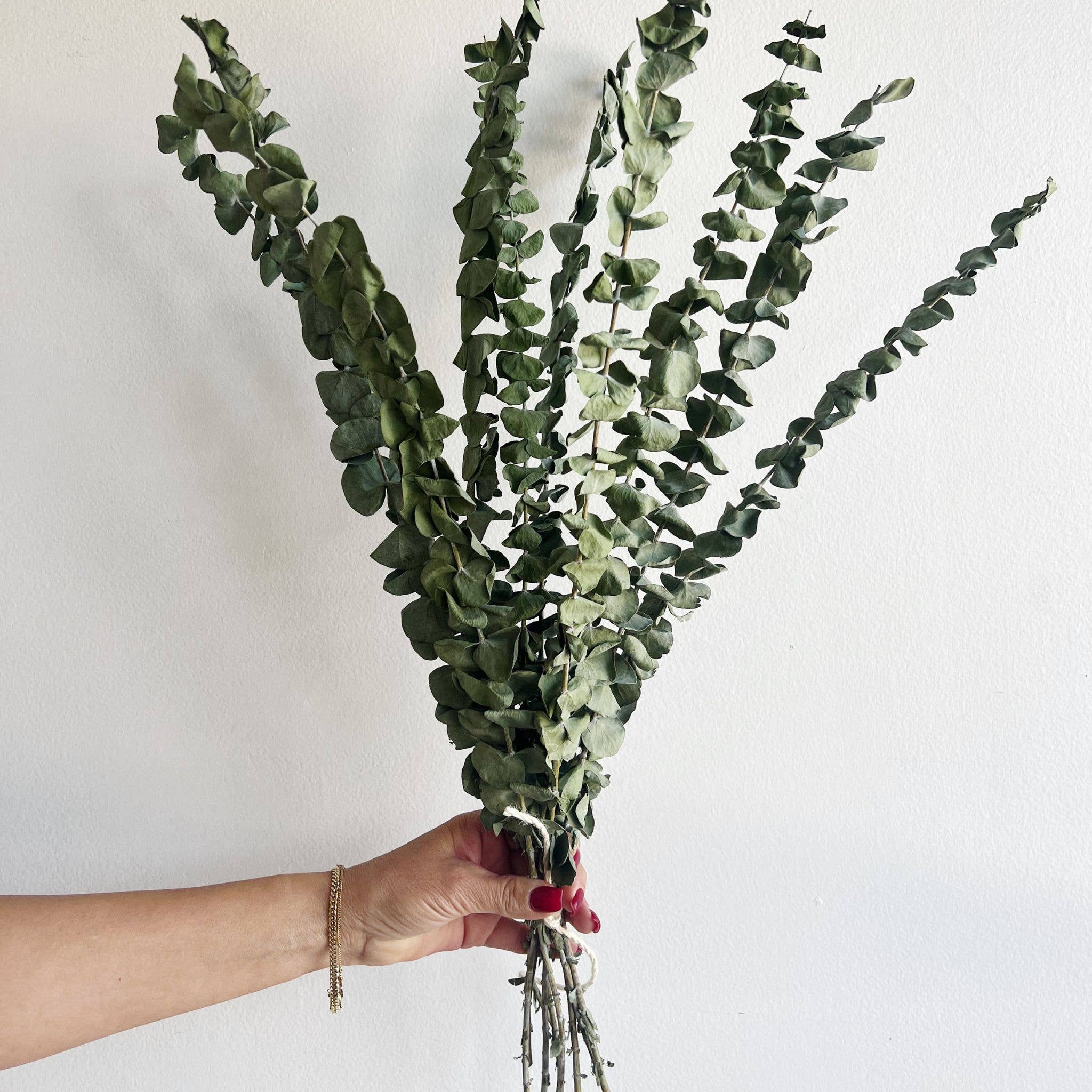 Dried Botanicals