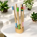 Adult Bamboo Toothbrush | Earth Day Bestseller Bamboo Switch