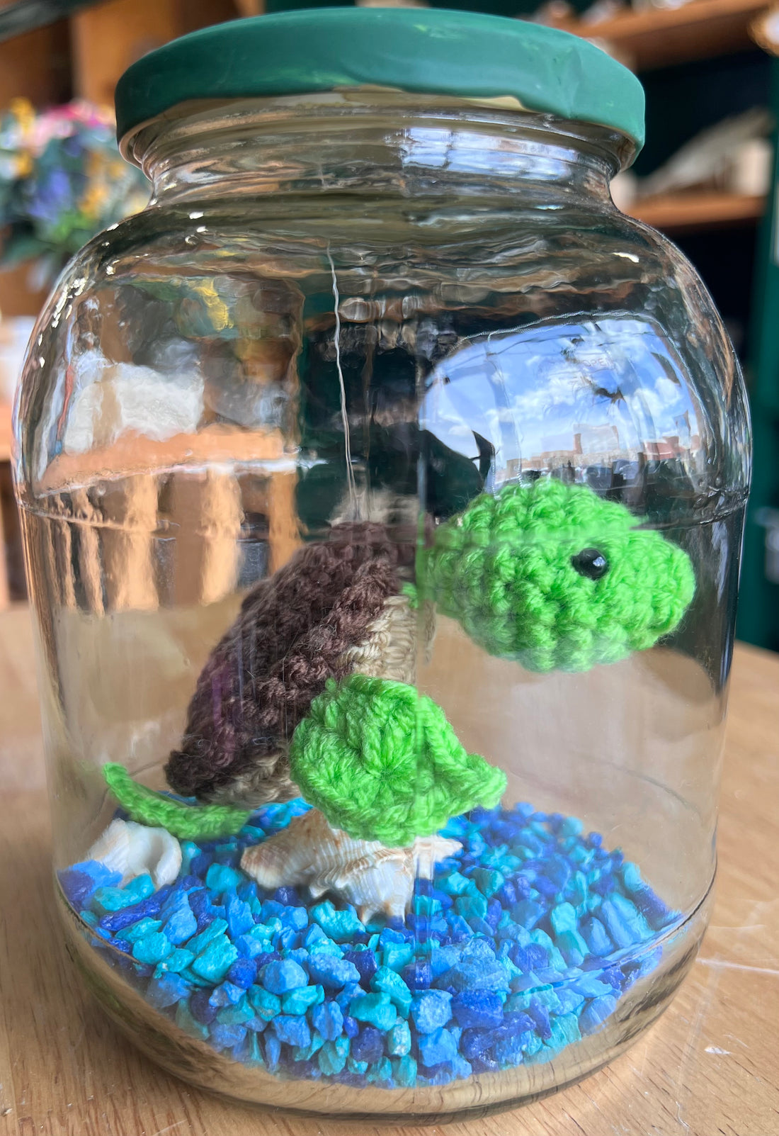 Turtle Aquarium