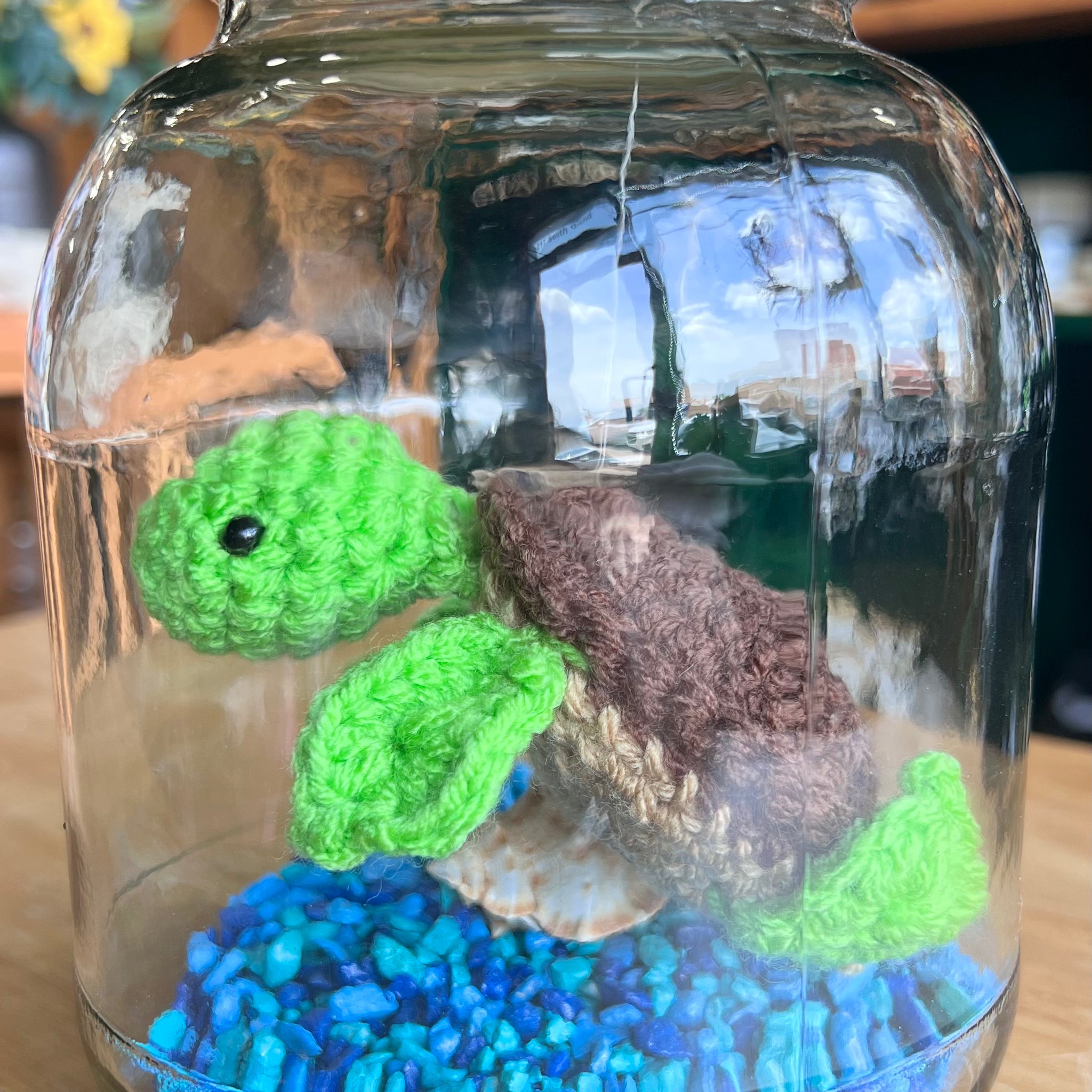 Turtle Aquarium