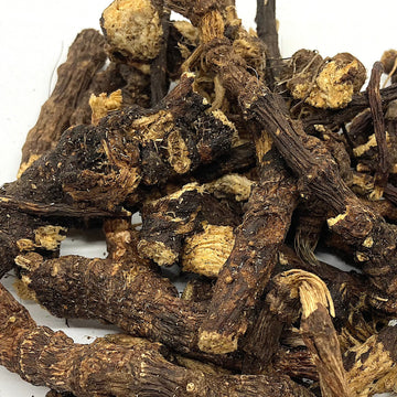 Osha Root whole, wild crafted