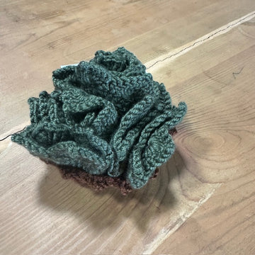 succulent coaster set with basket