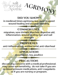 Agrimony | Dried Herb (Cut & Sifted) HerbCo