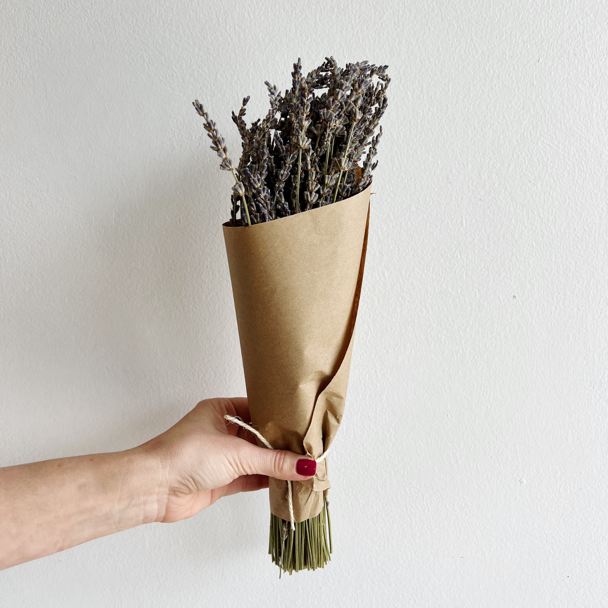 Dried Lavender Bunch