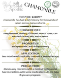 Chamomile Flowers | Whole, Fair Trade, Organic Tree Fifty Four