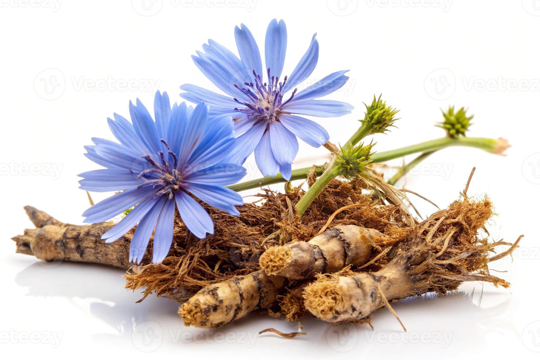 Chicory Root, Granules | Roasted, Organic HerbCo