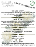 Chrysanthemum Flowers | Whole, Organic Starwest Botanicals