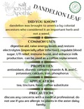 Dandelion Leaf | Organic, Cut & Sifted HerbCo