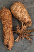Devil’s Claw Root Powder | Wild Crafted HerbCo