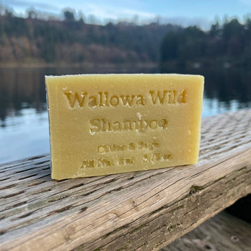 Shampoo Bars