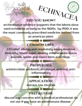 Echinacea Herb | Cut & Sifted, Organic Starwest Botanicals
