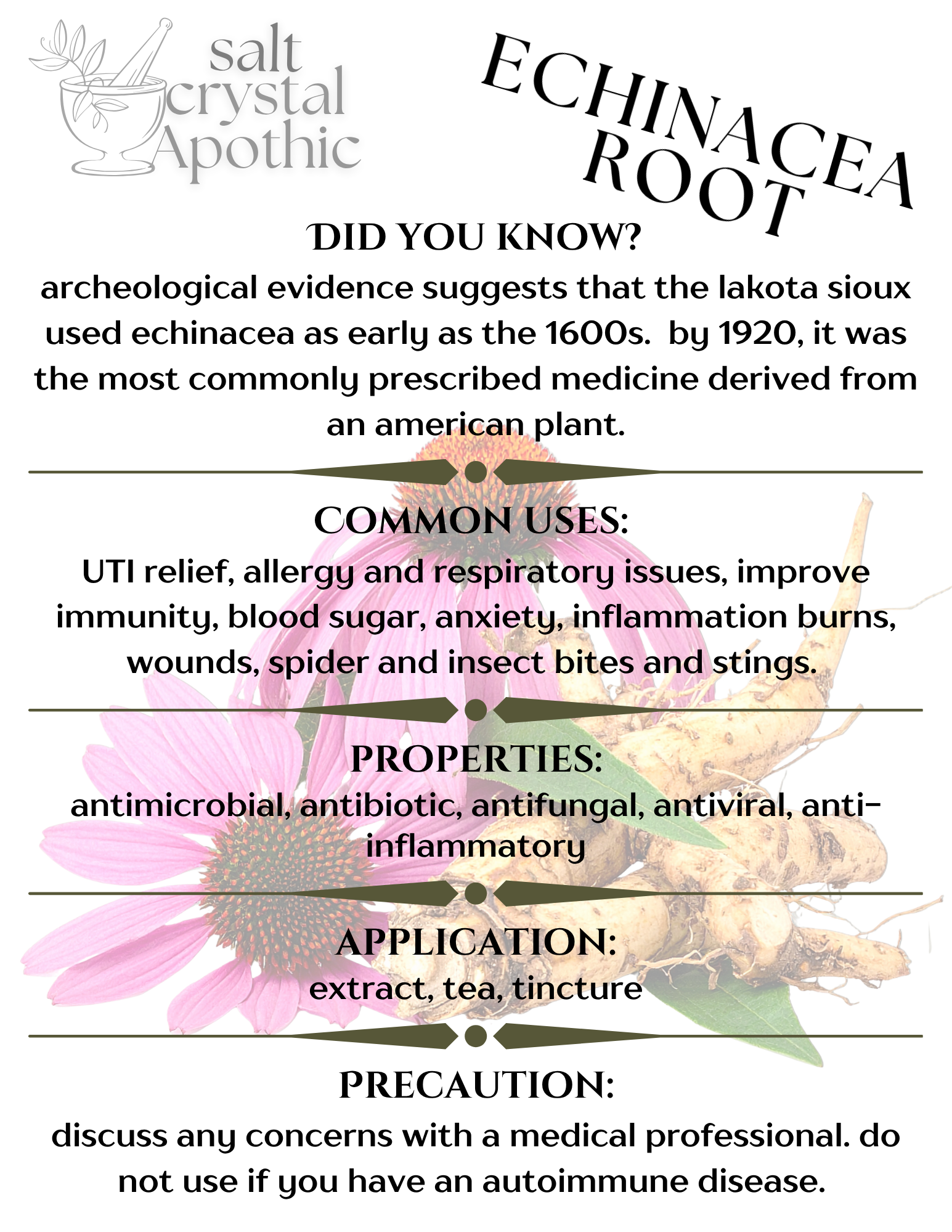 Echinacea Root (Cut & Sifted) HerbCo