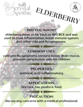 Elderberry (Whole) | Wildcrafted HerbCo