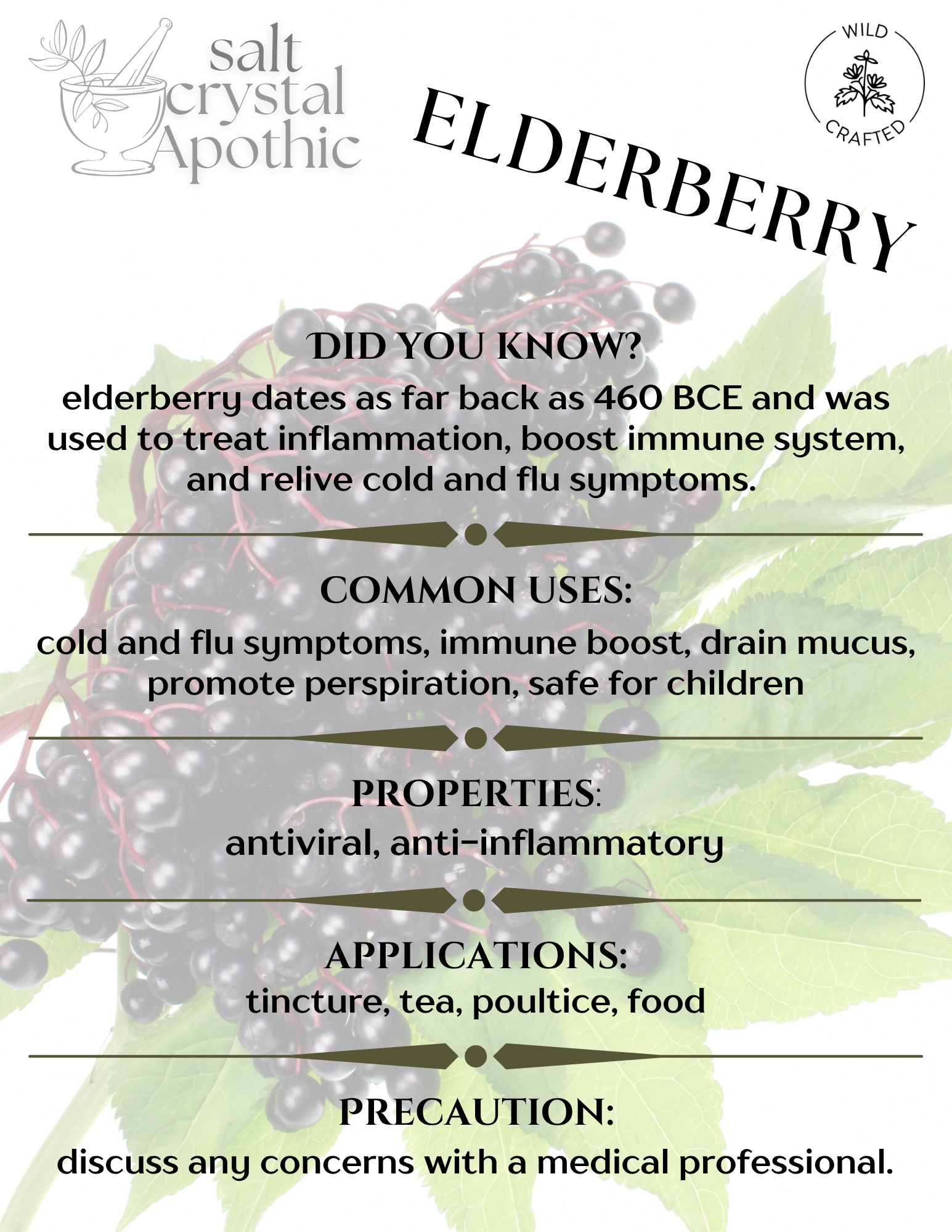 Elderberry (Whole) | Wildcrafted HerbCo