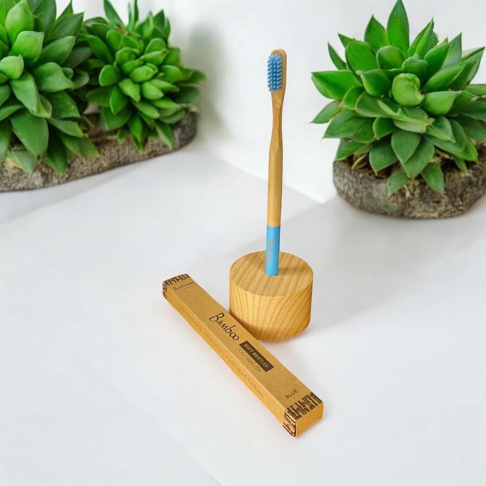 Adult Bamboo Toothbrush | Earth Day Bestseller Bamboo Switch