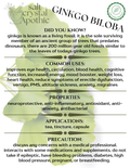 Ginkgo Leaf | Cut & Sifted, Organic Starwest Botanicals