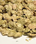 Hops | Whole HerbCo