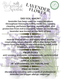 Lavender Flower | Whole, Organic HerbCo
