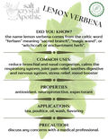 Lemon Verbena | Cut & Sifted, Organic Starwest Botanicals
