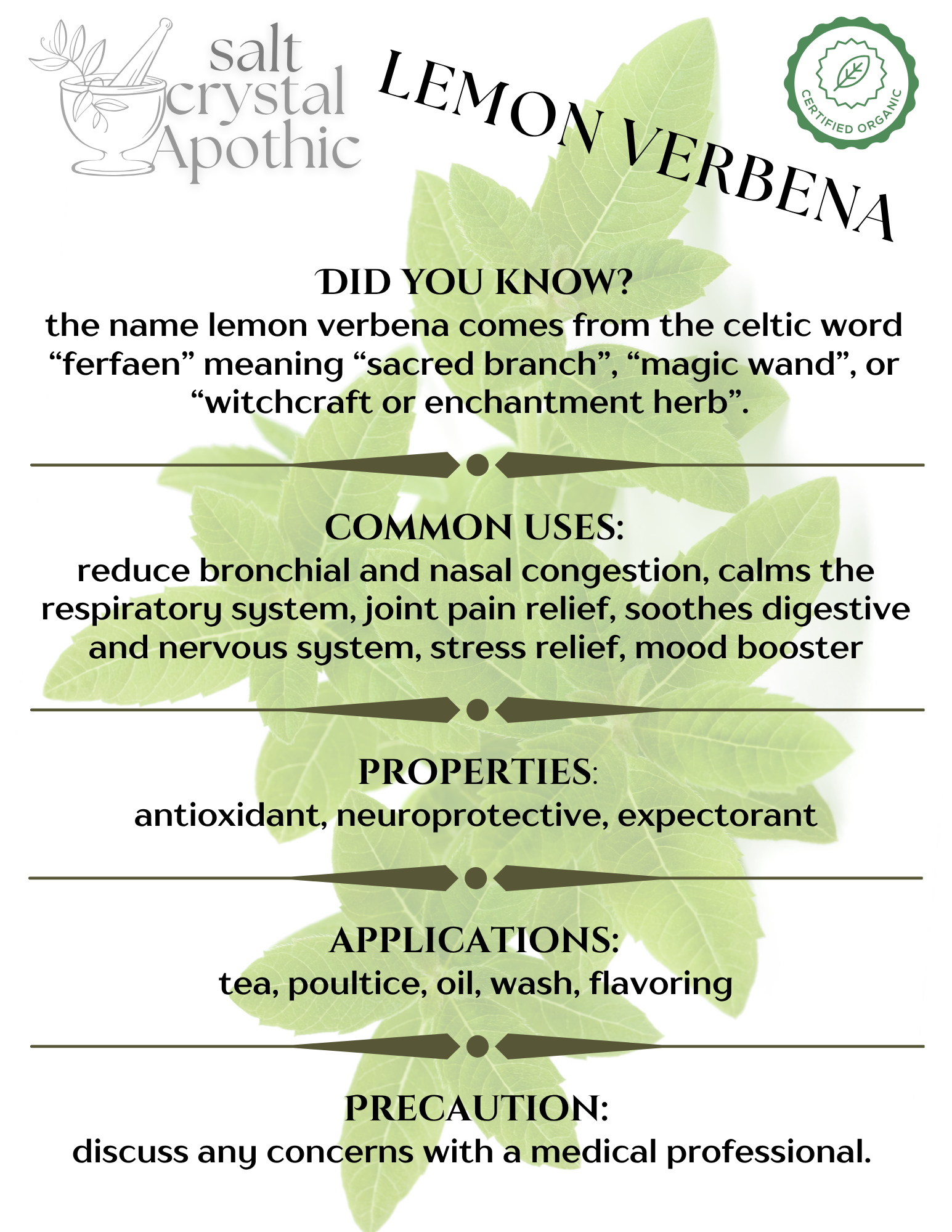 Lemon Verbena | Cut & Sifted, Organic Starwest Botanicals