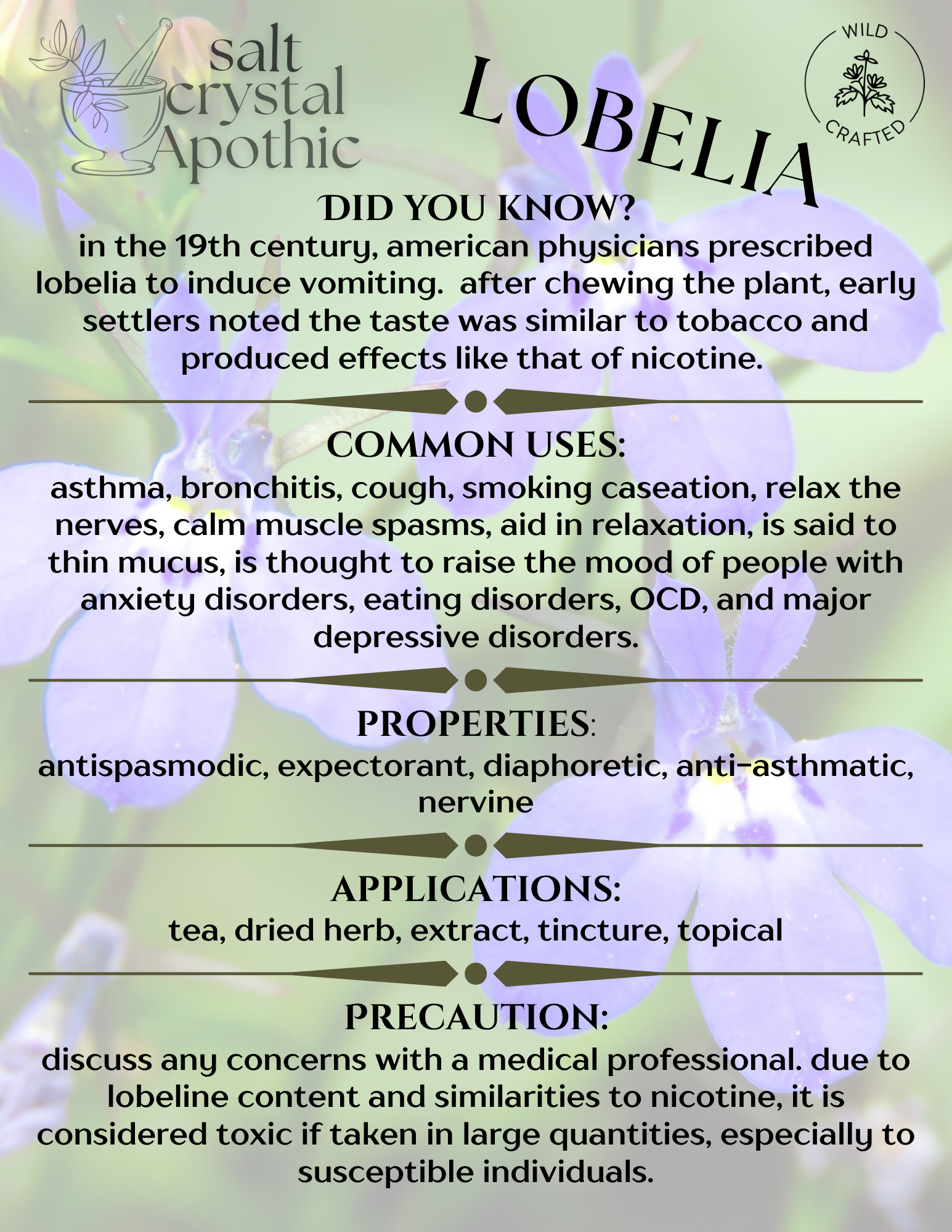 Lobelia | Cut & Sifted, Wildcrafted HerbCo