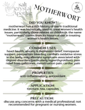 Motherwort | Cut & Sifted, Wildcrafted HerbCo