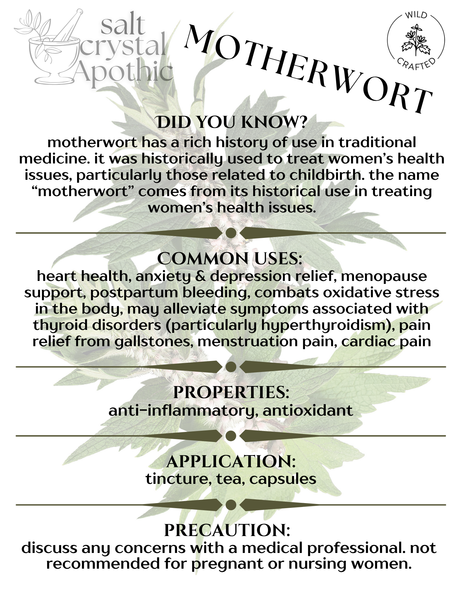 Motherwort | Cut & Sifted, Wildcrafted HerbCo