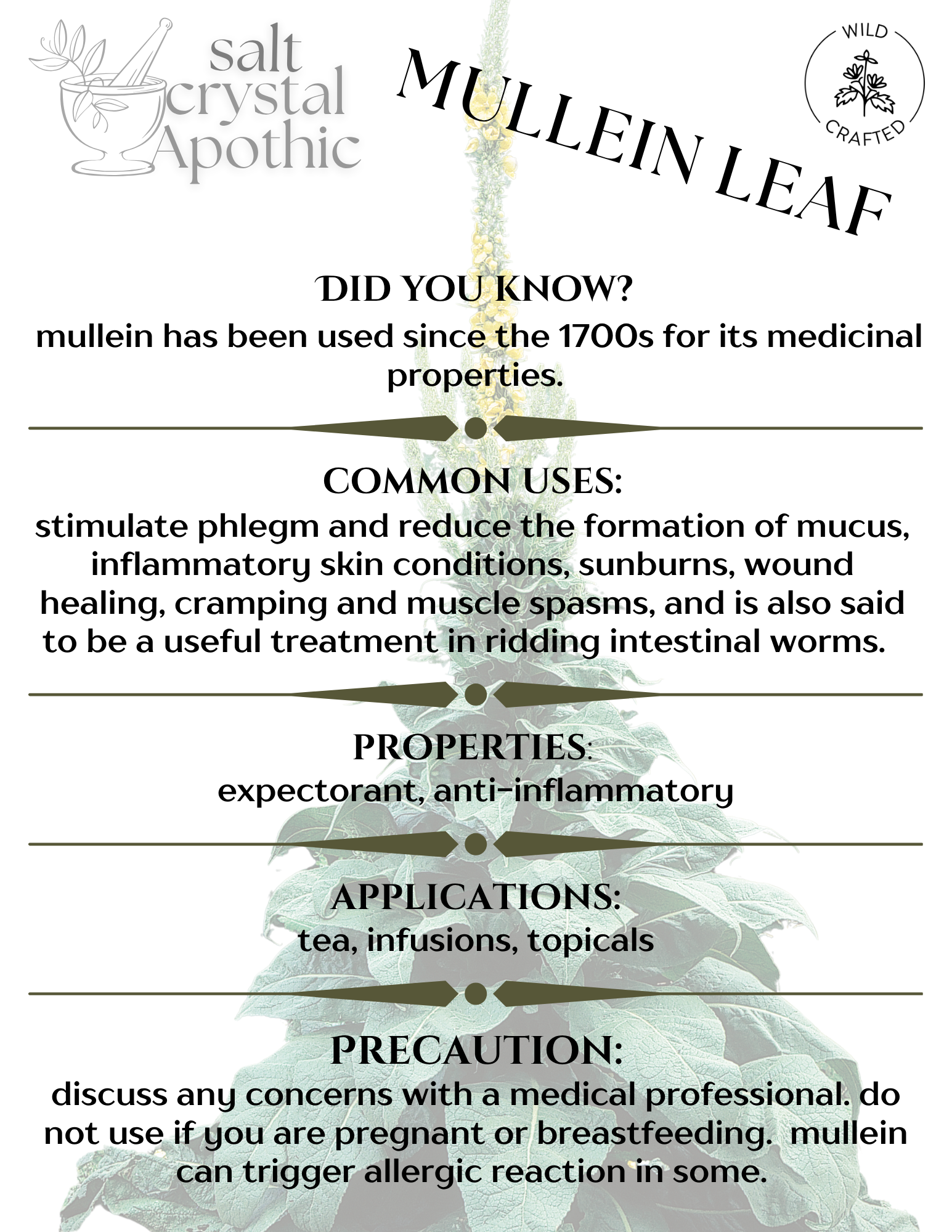 Mullein Leaf | Cut & Sifted, Wildcrafted HerbCo