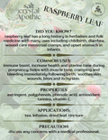 Raspberry Leaf | Cut & Sifted, Wildcrafted HerbCo