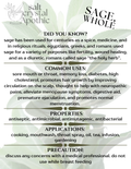 Sage | Whole HerbCo
