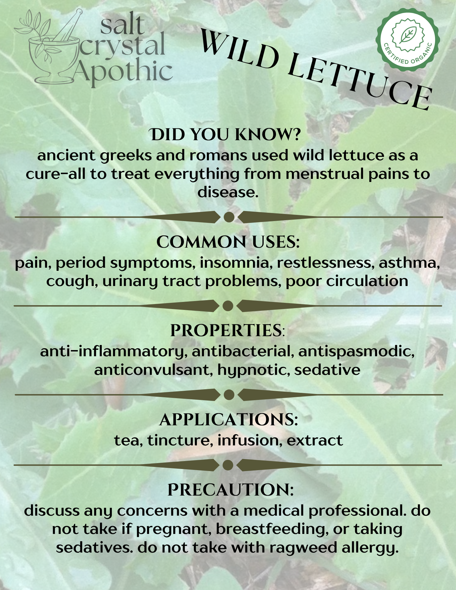 Wild Lettuce | Cut & Sifted, Organic Mountain Rose Herbs