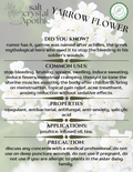 Yarrow Flower | Cut & Sifted, Organic HerbCo